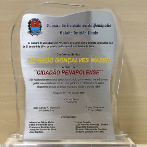Troféu Acrílico e Aço Inox Título Cidadão