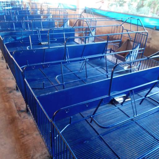 Celas de Gestação por Andre Luiz Bourscheidt - Cs Manutencao Ltda