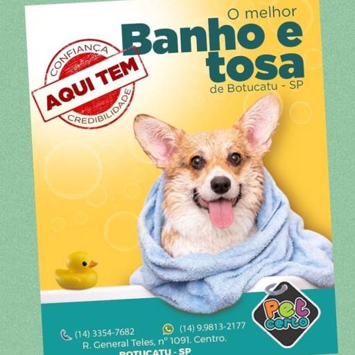 Banho & Tosa por Pet Center