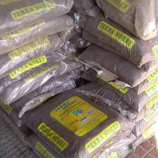 Terra (Saco) por Donna Donna 