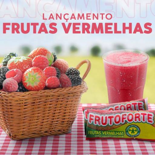 Polpas de Frutas