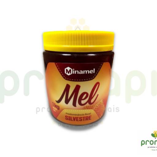 Comprar o produto de Mel Silvestre Pote Minamel 1kg  em Alimentação Saudável pela empresa Pronapi Produtos Naturais em Foz do Iguaçu, PR por Solutudo