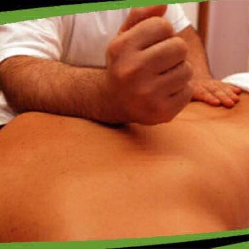 Seitai A Quiropraxia Japonesa  por SOS Coluna Vertebral