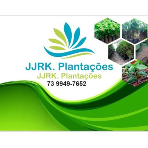 Plantas Frutíferas