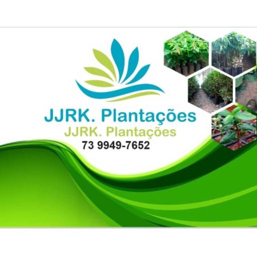 Comprar a oferta de Mudas Clonadas de Manga em Indústria Agropecuária pela empresa JJRK Plantações em Taperoá, BA por Solutudo