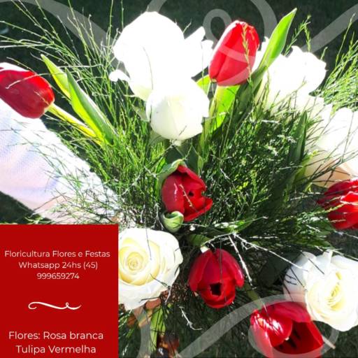 Comprar o produto de Buquê de Flores Rosa Branca e Tulipa Vermelha em Buquês pela empresa Floricultura 24hr Flores & Festas em Foz do Iguaçu, PR por Solutudo
