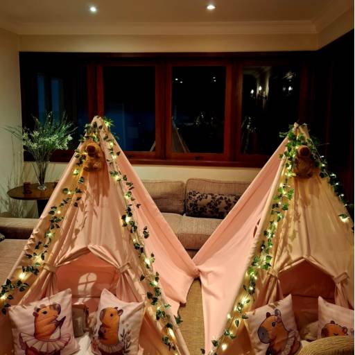 Tema Capivara  em Jundiaí, SP por Mãe me Quer Jundiaí