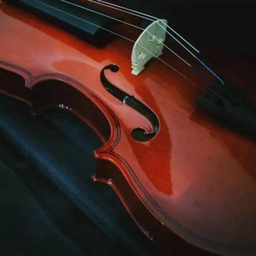 Comprar o produto de Aulas de Violino em Escolas de Música pela empresa Som & Movimento - Escola de Música em Aracaju, SE por Solutudo