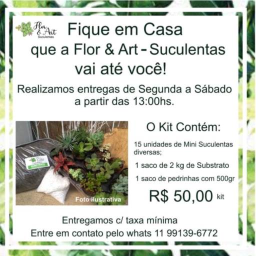 Bandejas de mini suculentas no kit por Flor & Art-Suculentas