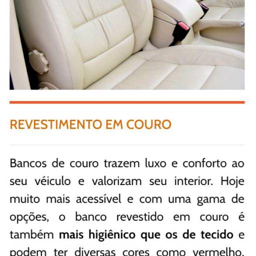 Revestimento em Couro