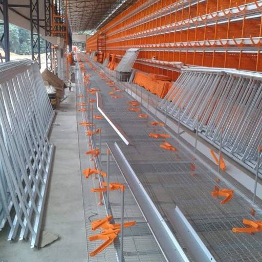 Postura Atabas, Granja Irmãos Corteletti - 2015