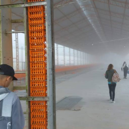 Postura Artabas por Goldner Gonoring - Montagem e Manutenção de Granjas Automáticas