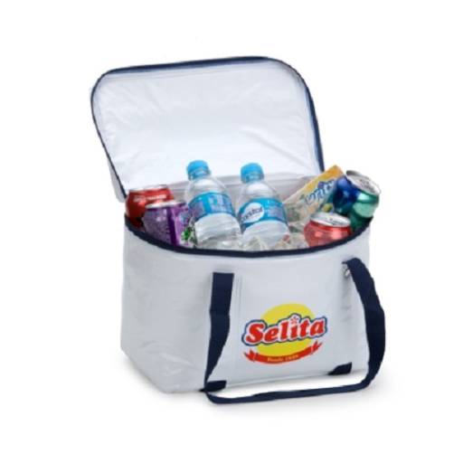 Bolsa térmica em PVC, dim. 20x30x22cm – cap. cúbica 13 litros