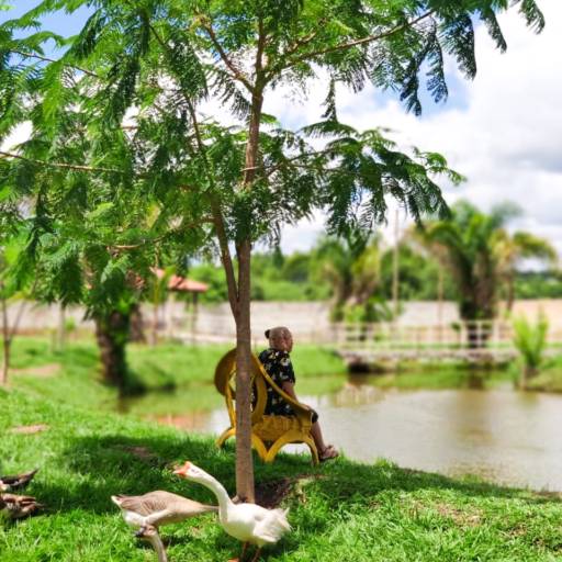 Contato direto com a natureza por Helianthus - Centro de Convivência para a Melhor Idade