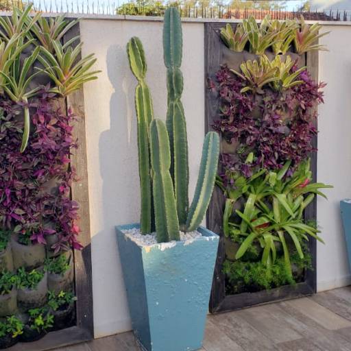 Jardim Vertical / Quadros Vivos / Paredes Verdes