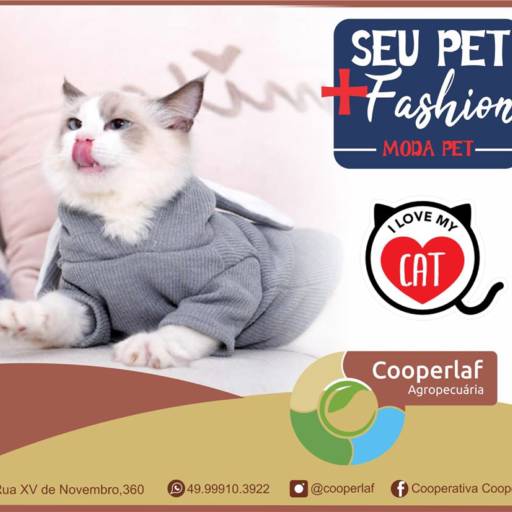 Moda Pet