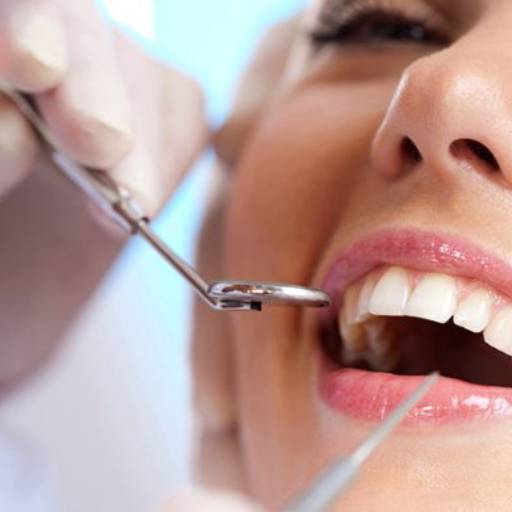 Comprar o produto de Limpeza Dentária em Saúde Dental pela empresa Clínica de Ortodontia Dra. Eliana de Souza  em Araçatuba, SP por Solutudo