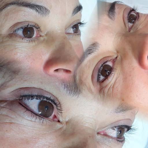 Contorno de Olhos Makeup Definitiva (Semidefinitiva Hoje em Dia) Efeito Delineador por Instituto Harmonize