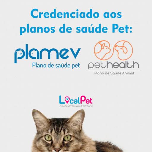 Comprar o produto de Planos de Saúde Pet em Pet Shop pela empresa Local Pet - Clinica Veterinária em Aracaju, SE por Solutudo
