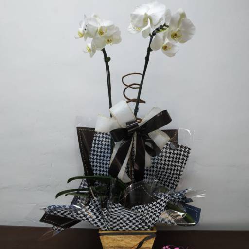 Arranjos de Orquídeas por Carol Flores e Cestas