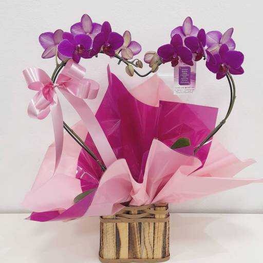 Comprar o produto de Arranjos de Orquídeas em Arranjos de Mesa pela empresa Carol Flores e Cestas em Jundiaí, SP por Solutudo