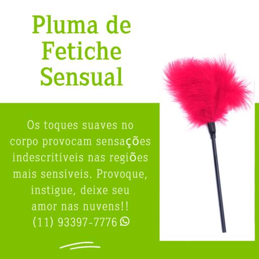 Pluma de Fetiche Sensual - 6ª CATEGORIA – Provoque - Massagem Sensual  por SexShop Paz e Amor em Belo Horizonte