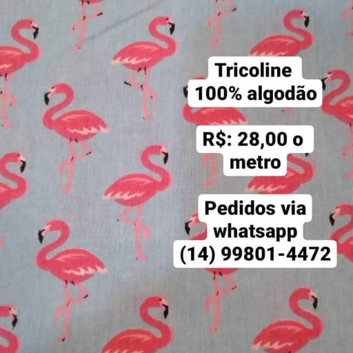 Tricoline 100% Algodão - Flamingo em Bauru 
