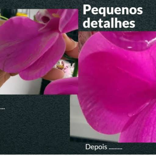 Pequenos Detalhes por LMG Limpeza