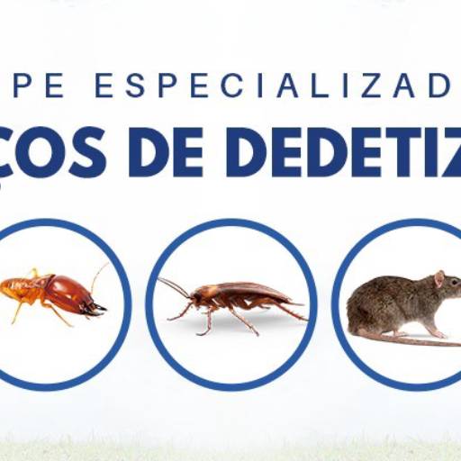 Dedetização por JRC Dedetização