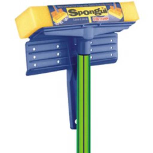 Spongui