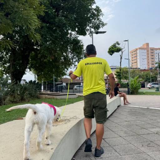 Adestramento para cachorro por Forte dos Pets Praia Grande