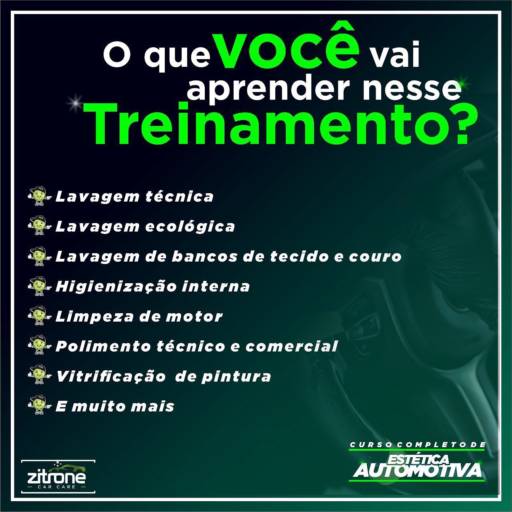 Curso Completo de Estética Automotiva por Zitrone