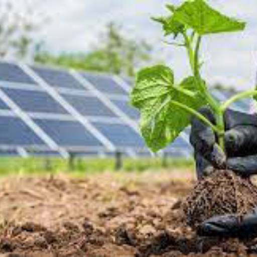 Comprar o produto de Energia solar para agronegócio em Bauru em Energia Solar pela empresa LF Segurança Eletrônica e Energia Solar em Bauru, SP por Solutudo