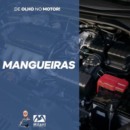 Comprar o produto de Mangueiras em Flexíveis pela empresa Milani Auto Service em Lençóis Paulista, SP por Solutudo