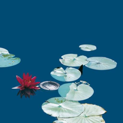 Sobrallighting - Luminárias BEGA por ELAINE SOBRAL HORMANN Arquitetura & Cia