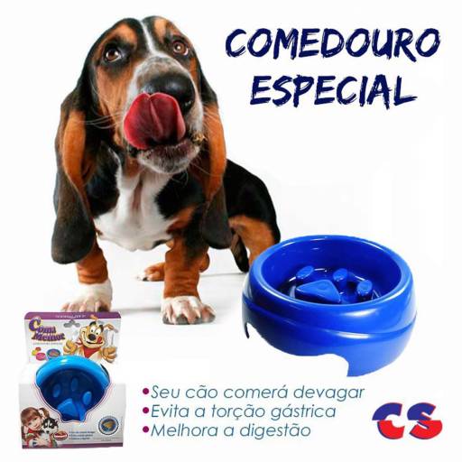 Comprar o produto de Comedouro Especial em Ração para Cachorros pela empresa Comercial Santarém em Lençóis Paulista, SP por Solutudo