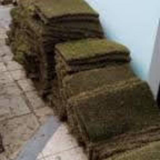 Serviços de Jardinagem por 24hs Serviços