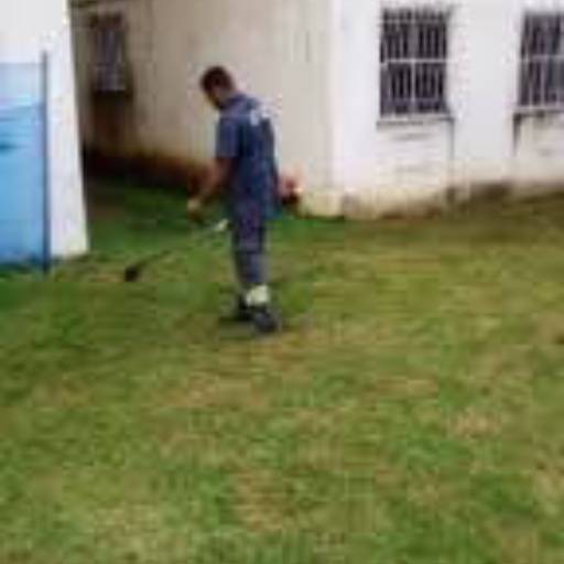 Serviços de Jardinagem por 24hs Serviços
