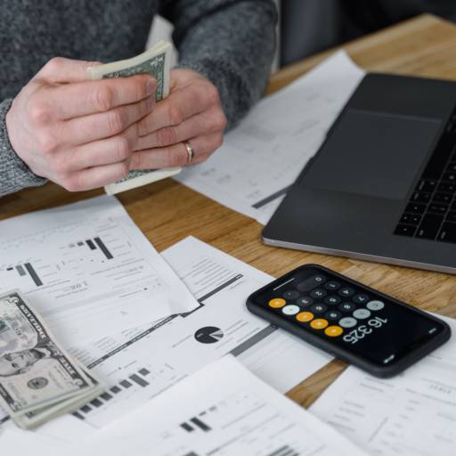 Emissões de Certidões por Bolz Assessoria Contábil