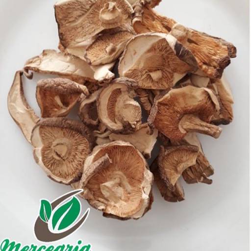 Cogumelo Shitake por Mercearia Alimentos Naturais