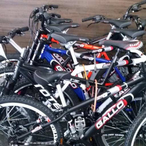 Bicicletas para Adultos por Bicicletaria Bike Still 