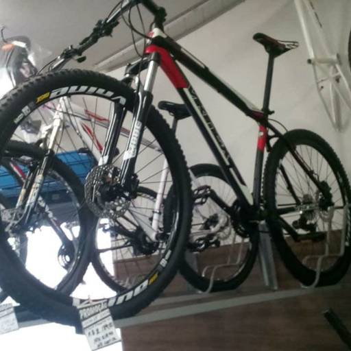 Bicicletas para Adultos por Bicicletaria Bike Still 