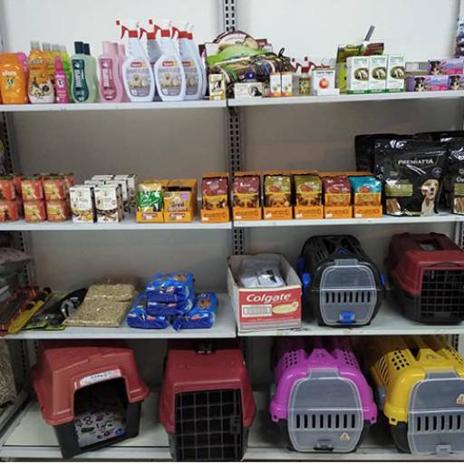 Acessórios para Pet por Armazém Pet