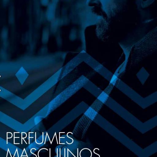Comprar o produto de Perfumes Masculinos. em Perfumes Masculinos pela empresa Sheila Moreno Perfumes e Cosméticos em Várzea Paulista, SP por Solutudo