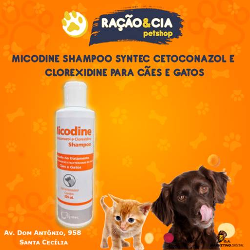Comprar o produto de Micodine Shampoo Syntec Cetoconazol e Clorexidine para Cães e Gatos em Animais pela empresa Ração e Cia em Assis, SP por Solutudo