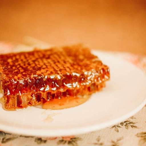 Favo de mel por Apiário Abel Barros