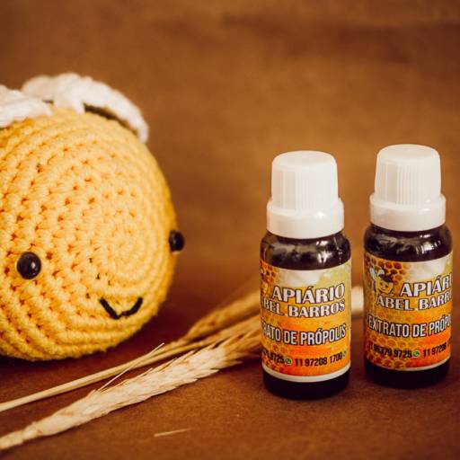 Extrato de Própolis por Apiário Abel Barros