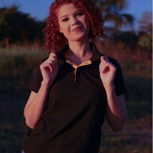 Camisetas Polo (Sem Bordado)