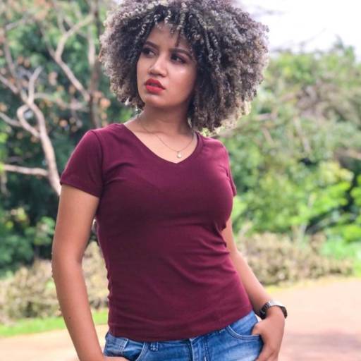 Camisetas (Sem Bordado) por Rosa Bordados