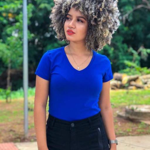 Camisetas (Sem Bordado) por Rosa Bordados